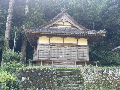 Photo from 2025/8/14