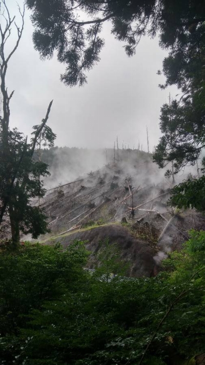 Photo from 2018/8/10