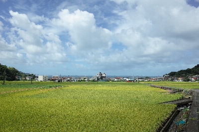 Photo from 2024/9/15