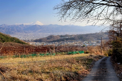 Photo from 2025/3/23