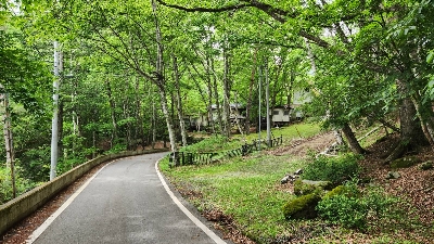 Photo from 2023/6/10