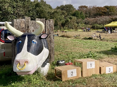 Photo from 2024/10/20