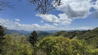 Photo from 2025/4/29