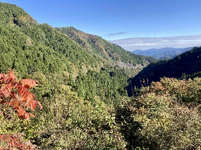 Photo from 2024/11/9