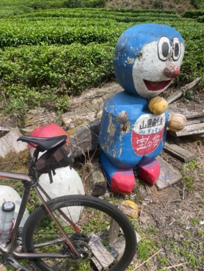 Photo from 2023/8/20