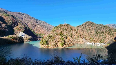 Photo from 2024/11/21