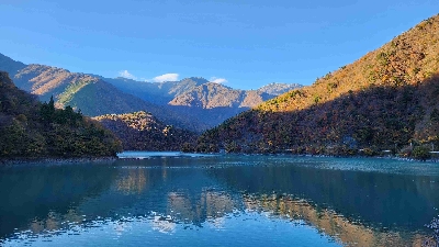 Photo from 2024/11/21