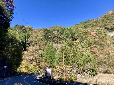 Photo from 2024/11/9