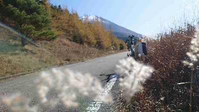 Photo from 2025/11/7