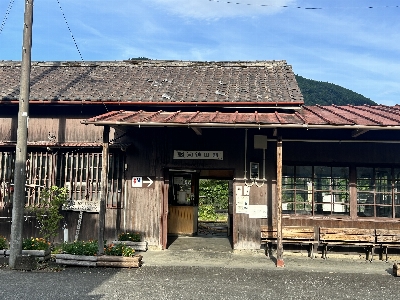 Photo from 2024/7/20