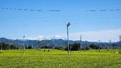 Photo from 2023/4/16