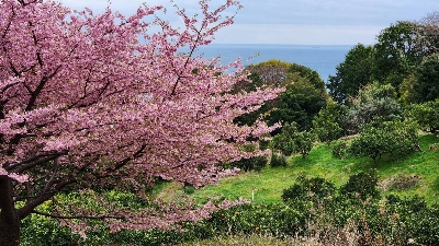 Photo from 2024/2/17