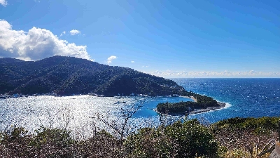 Photo from 2024/1/24