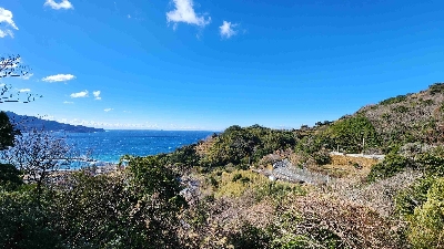 Photo from 2024/1/24