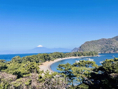 Photo from 2026/1/17