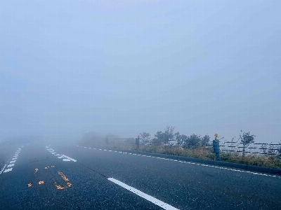 Photo from 2025/10/18