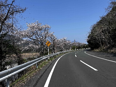 Photo from 2026/3/29