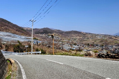 Photo from 2025/3/23