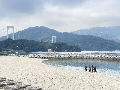 Photo from 2024/10/27