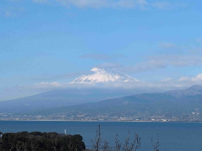 Photo from 2025/1/18