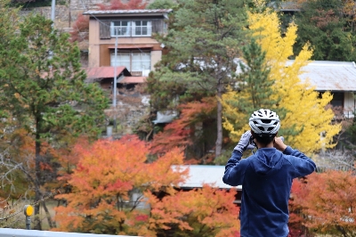 Photo from 2023/11/5