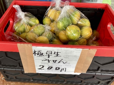 Photo from 2024/9/29