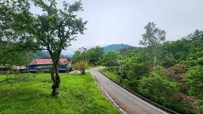 Photo from 2023/6/10