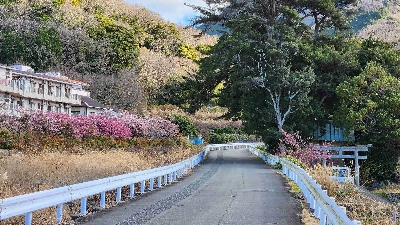 Photo from 2024/1/24