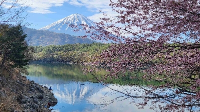 Photo from 2026/4/13