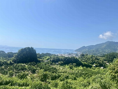 Photo from 2025/8/15