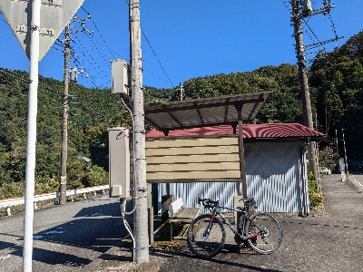 Photo from 2024/11/3