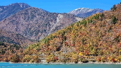 Photo from 2024/11/21