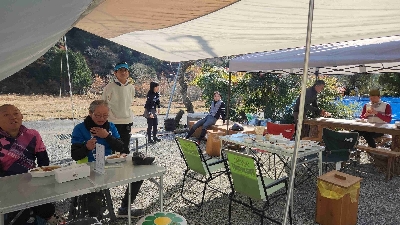 Photo from 2023/12/3