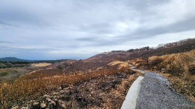 Photo from 2024/2/17