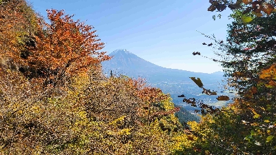 Photo from 2025/11/7