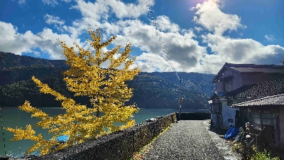 Photo from 2024/11/21