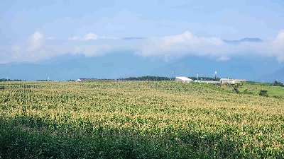 Photo from 2025/8/23