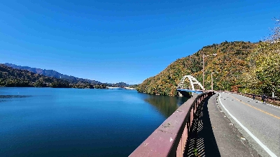 Photo from 2024/11/24