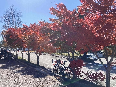 Photo from 2023/11/3