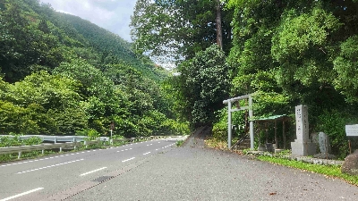 Photo from 2024/8/10