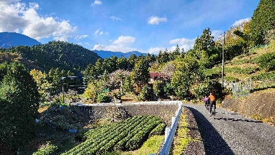 Photo from 2023/11/18