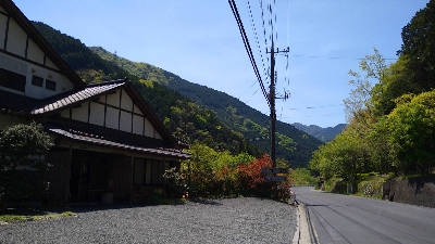 Photo from 2021/4/20