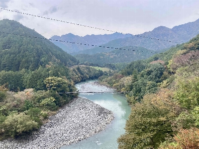 Photo from 2024/11/16