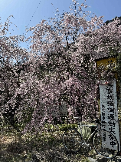 Photo from 2024/4/14