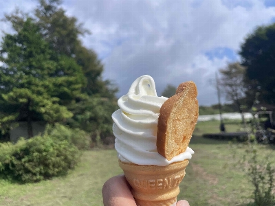 Photo from 2025/9/21