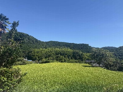 Photo from 2025/8/15