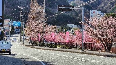 Photo from 2024/1/24