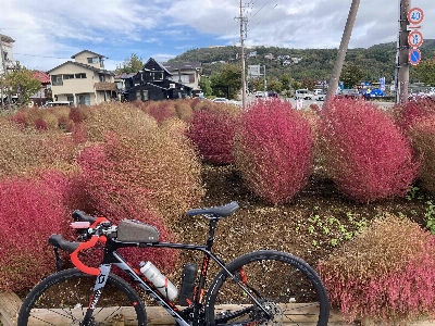 Photo from 2024/10/19