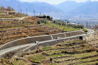 Photo from 2025/3/23