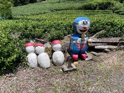 Photo from 2023/6/17